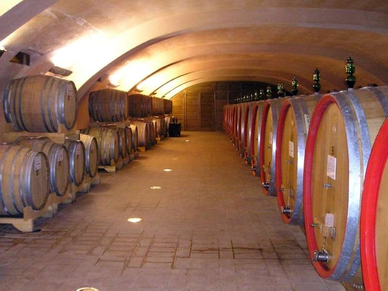 tour enogastronomico