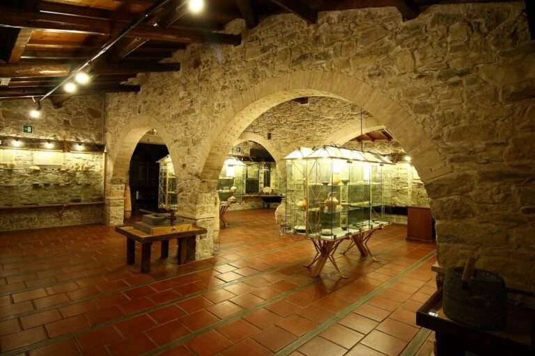 escursione-ambientale-culturale-campidano-museo-archeologico-villanovaforru-sardegna