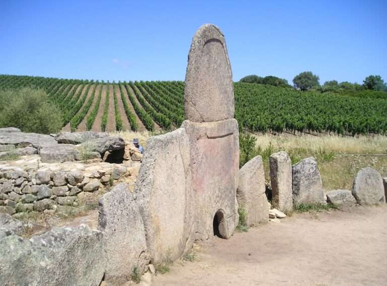 escursione-ambientale-culturale-fungo-arzachena-sardegna