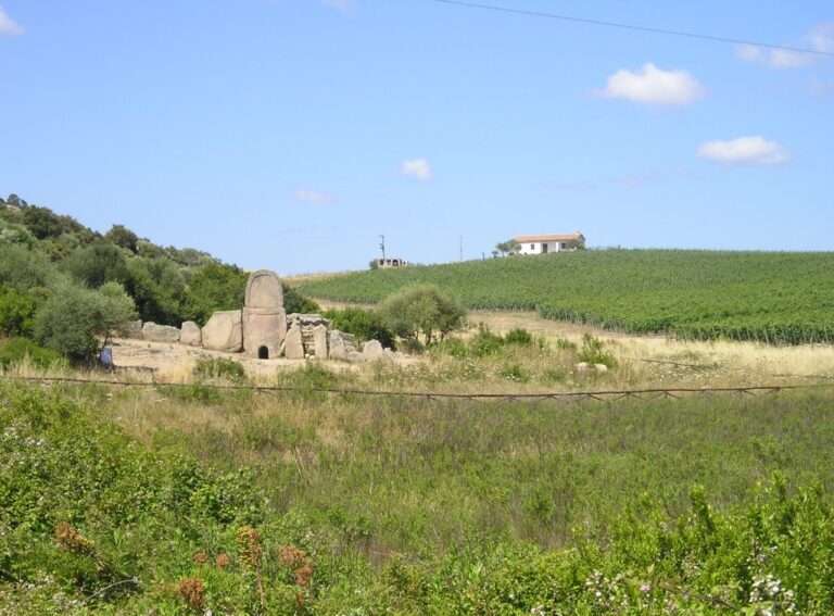 escursione-ambientale-culturale-fungo-arzachena-sardegna