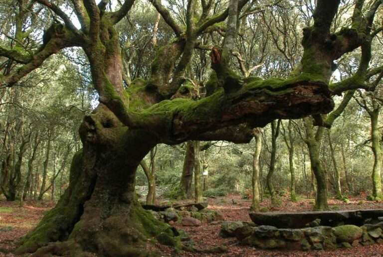 escursione-trekking-sardegna