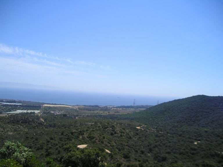 escursione-nora-sardegna